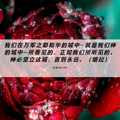 Picture 06 - 诗 篇 48:8 CUVS - 我 们 在 万 军 之 耶 和 华 的 城 中 - Bible Verse Picture