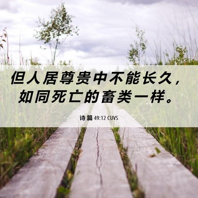Picture 06 - 诗 篇 49:12 CUVS - 但 人 居 尊 贵 中 不 能 长 久 ， 如 - Bible Verse Picture