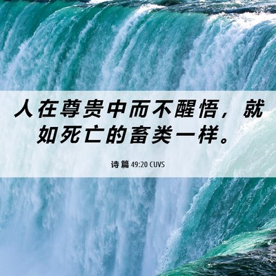 Picture 06 - 诗 篇 49:20 CUVS - 人 在 尊 贵 中 而 不 醒 悟 ， 就 如 - Bible Verse Picture