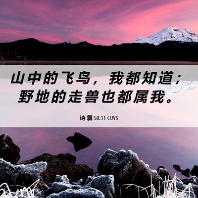 Picture 06 - 诗 篇 50:11 CUVS - 山 中 的 飞 鸟 ， 我 都 知 道 ； 野 - Bible Verse Picture