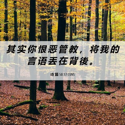 Picture 06 - 诗 篇 50:17 CUVS - 其 实 你 恨 恶 管 教 ， 将 我 的 言 - Bible Verse Picture