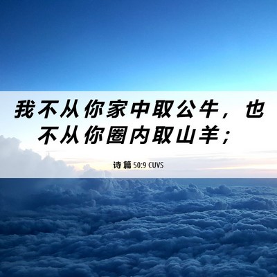 Picture 06 - 诗 篇 50:9 CUVS - 我 不 从 你 家 中 取 公 牛 ， 也 不 - Bible Verse Picture