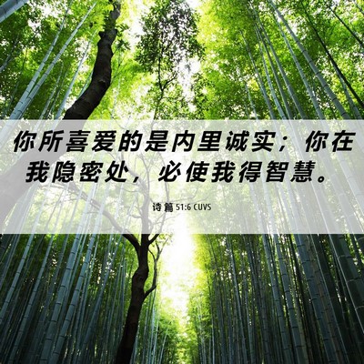 Picture 06 - 诗 篇 51:6 CUVS - 你 所 喜 爱 的 是 内 里 诚 实 ； 你 - Bible Verse Picture