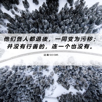 Picture 06 - 诗 篇 53:3 CUVS - 他 们 各 人 都 退 後 ， 一 同 变 为 - Bible Verse Picture