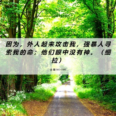 Picture 06 - 诗 篇 54:3 CUVS - 因 为 ， 外 人 起 来 攻 击 我 ， 强 - Bible Verse Picture