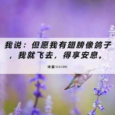 Picture 06 - 诗 篇 55:6 CUVS - 我 说 ： 但 愿 我 有 翅 膀 像 鸽 子 - Bible Verse Picture