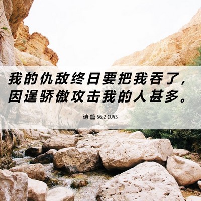 Picture 06 - 诗 篇 56:2 CUVS - 我 的 仇 敌 终 日 要 把 我 吞 了 ， - Bible Verse Picture