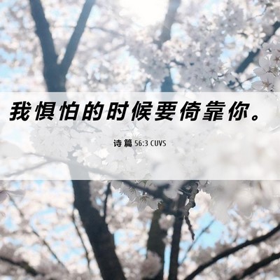 Picture 06 - 诗 篇 56:3 CUVS - 我 惧 怕 的 时 候 要 倚 靠 你 - Bible Verse Picture