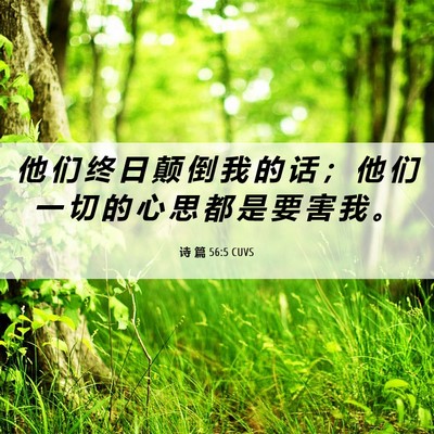 Picture 06 - 诗 篇 56:5 CUVS - 他 们 终 日 颠 倒 我 的 话 ； 他 们 - Bible Verse Picture