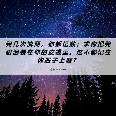 Picture 06 - 诗 篇 56:8 CUVS - 我 几 次 流 离 ， 你 都 记 数 ； 求 - Bible Verse Picture