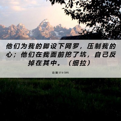 Picture 06 - 诗 篇 57:6 CUVS - 他 们 为 我 的 脚 设 下 网 罗 ， 压 - Bible Verse Picture