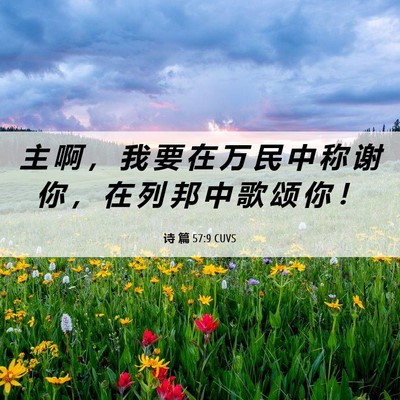 Picture 06 - 诗 篇 57:9 CUVS - 主 啊 ， 我 要 在 万 民 中 称 谢 你 - Bible Verse Picture