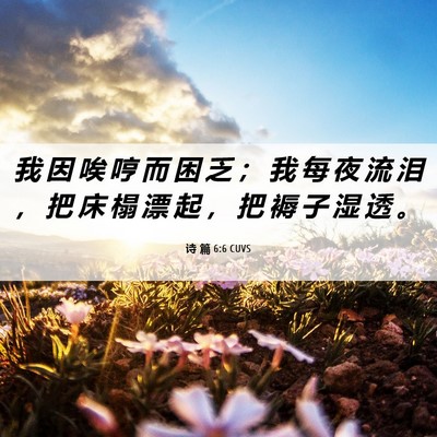 Picture 06 - 诗 篇 6:6 CUVS - 我 因 唉 哼 而 困 乏 ； 我 每 夜 流 - Bible Verse Picture