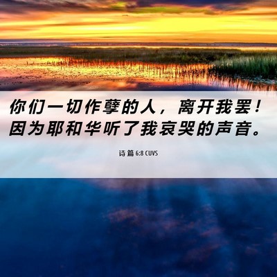 Picture 06 - 诗 篇 6:8 CUVS - 你 们 一 切 作 孽 的 人 ， 离 开 我 - Bible Verse Picture