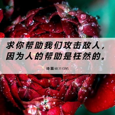 Picture 06 - 诗 篇 60:11 CUVS - 求 你 帮 助 我 们 攻 击 敌 人 ， 因 - Bible Verse Picture