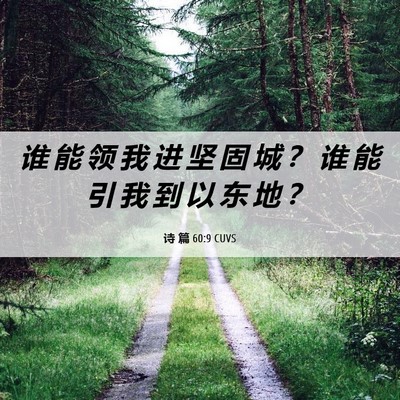 Picture 06 - 诗 篇 60:9 CUVS - 谁 能 领 我 进 坚 固 城 ？ 谁 能 引 - Bible Verse Picture