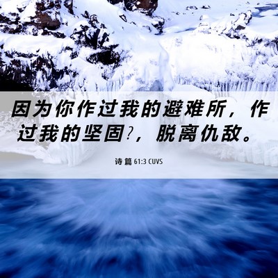 Picture 06 - 诗 篇 61:3 CUVS - 因 为 你 作 过 我 的 避 难 所 ， 作 - Bible Verse Picture
