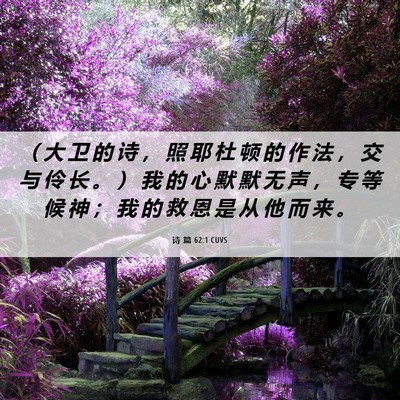 Picture 06 - 诗 篇 62:1 CUVS - （ 大 卫 的 诗 ， 照 耶 杜 顿 的 作 - Bible Verse Picture