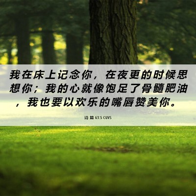 Picture 06 - 诗 篇 63:5 CUVS - 我 在 床 上 记 念 你 ， 在 夜 更 的 - Bible Verse Picture