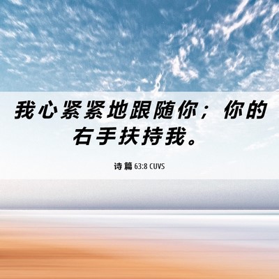 Picture 06 - 诗 篇 63:8 CUVS - 我 心 紧 紧 地 跟 随 你 ； 你 的 右 - Bible Verse Picture