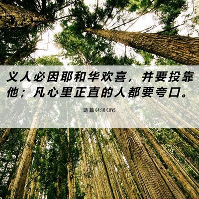 Picture 06 - 诗 篇 64:10 CUVS - 义 人 必 因 耶 和 华 欢 喜 ， 并 要 - Bible Verse Picture