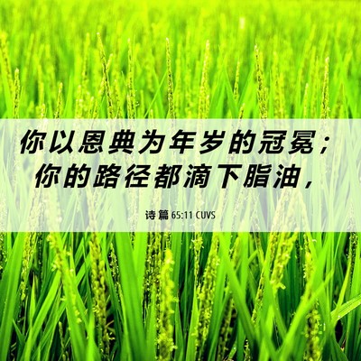 Picture 06 - 诗 篇 65:11 CUVS - 你 以 恩 典 为 年 岁 的 冠 冕 ； 你 - Bible Verse Picture