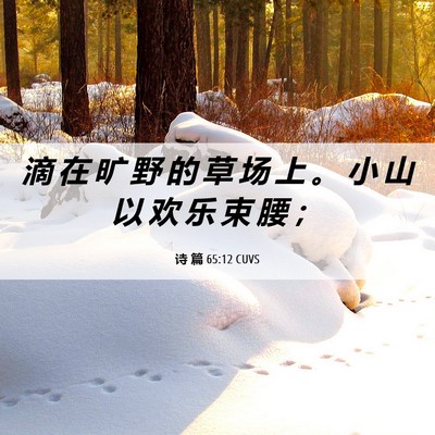 Picture 06 - 诗 篇 65:12 CUVS - 滴 在 旷 野 的 草 场 上 。 小 山 以 - Bible Verse Picture