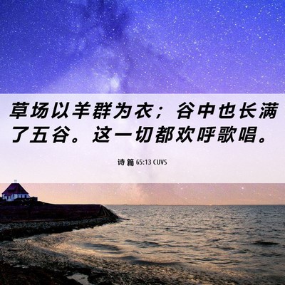 Picture 06 - 诗 篇 65:13 CUVS - 草 场 以 羊 群 为 衣 ； 谷 中 也 长 - Bible Verse Picture