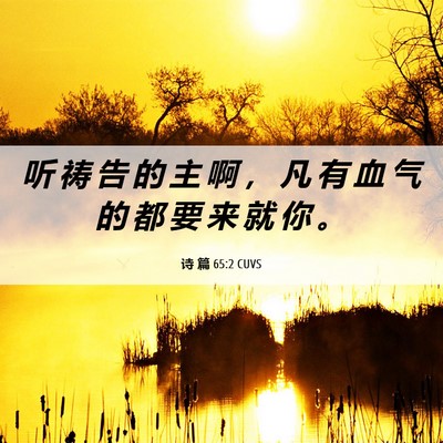 Picture 06 - 诗 篇 65:2 CUVS - 听 祷 告 的 主 啊 ， 凡 有 血 气 的 - Bible Verse Picture