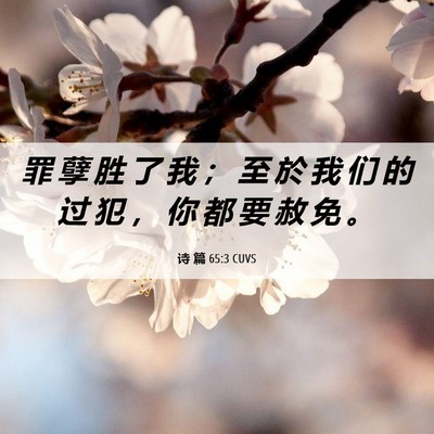 Picture 06 - 诗 篇 65:3 CUVS - 罪 孽 胜 了 我 ； 至 於 我 们 的 过 - Bible Verse Picture