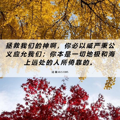 Picture 06 - 诗 篇 65:5 CUVS - 拯 救 我 们 的 神 啊 ， 你 必 以 威 - Bible Verse Picture