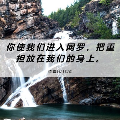 Picture 06 - 诗 篇 66:11 CUVS - 你 使 我 们 进 入 网 罗 ， 把 重 担 - Bible Verse Picture