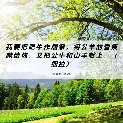 Picture 06 - 诗 篇 66:15 CUVS - 我 要 把 肥 牛 作 燔 祭 ， 将 公 羊 - Bible Verse Picture