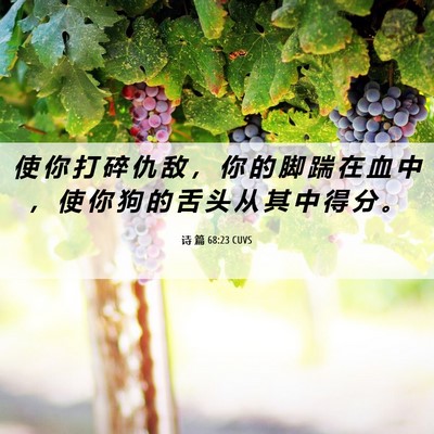 Picture 06 - 诗 篇 68:23 CUVS - 使 你 打 碎 仇 敌 ， 你 的 脚 踹 在 - Bible Verse Picture