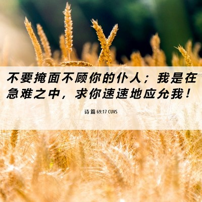 Picture 06 - 诗 篇 69:17 CUVS - 不 要 掩 面 不 顾 你 的 仆 人 ； 我 - Bible Verse Picture