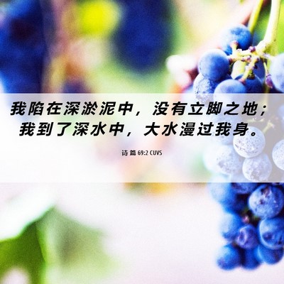 Picture 06 - 诗 篇 69:2 CUVS - 我 陷 在 深 淤 泥 中 ， 没 有 立 脚 - Bible Verse Picture