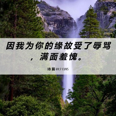 Picture 06 - 诗 篇 69:7 CUVS - 因 我 为 你 的 缘 故 受 了 辱 骂 ， - Bible Verse Picture