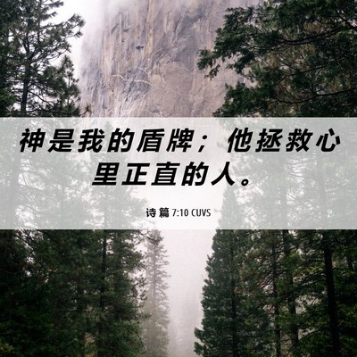 Picture 06 - 诗 篇 7:10 CUVS - 神 是 我 的 盾 牌 ； 他 拯 救 心 里 - Bible Verse Picture