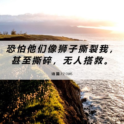 Picture 06 - 诗 篇 7:2 CUVS - 恐 怕 他 们 像 狮 子 撕 裂 我 ， 甚 - Bible Verse Picture