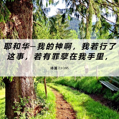 Picture 06 - 诗 篇 7:3 CUVS - 耶 和 华 ─ 我 的 神 啊 ， 我 若 行 - Bible Verse Picture
