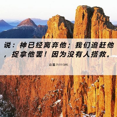 Picture 06 - 诗 篇 71:11 CUVS - 说 ： 神 已 经 离 弃 他 ； 我 们 追 - Bible Verse Picture
