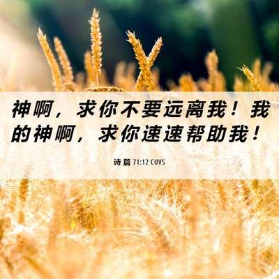 Picture 06 - 诗 篇 71:12 CUVS - 神 啊 ， 求 你 不 要 远 离 我 ！ 我 - Bible Verse Picture