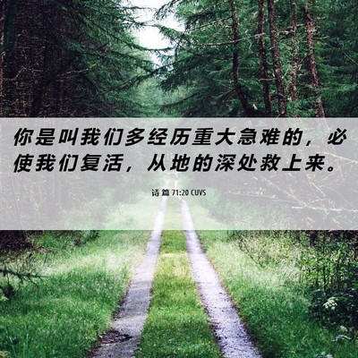 Picture 06 - 诗 篇 71:20 CUVS - 你 是 叫 我 们 多 经 历 重 大 急 难 - Bible Verse Picture