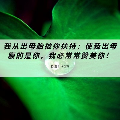 Picture 06 - 诗 篇 71:6 CUVS - 我 从 出 母 胎 被 你 扶 持 ； 使 我 - Bible Verse Picture