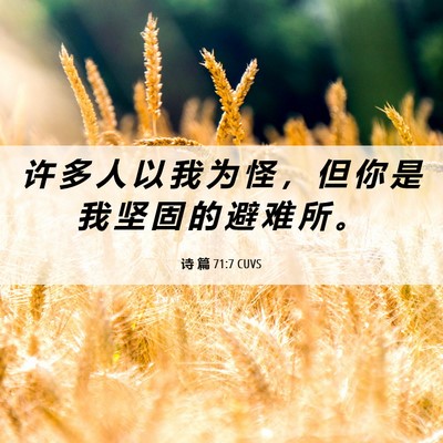 Picture 06 - 诗 篇 71:7 CUVS - 许 多 人 以 我 为 怪 ， 但 你 是 我 - Bible Verse Picture