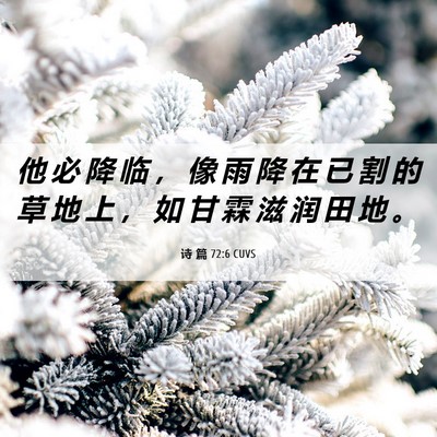 Picture 06 - 诗 篇 72:6 CUVS - 他 必 降 临 ， 像 雨 降 在 已 割 的 - Bible Verse Picture