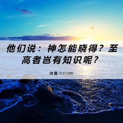 Picture 06 - 诗 篇 73:11 CUVS - 他 们 说 ： 神 怎 能 晓 得 ？ 至 高 - Bible Verse Picture