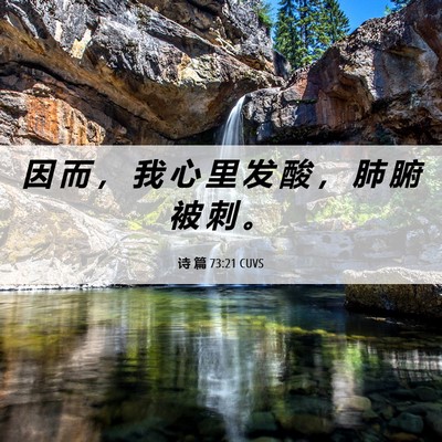 Picture 06 - 诗 篇 73:21 CUVS - 因 而 ， 我 心 里 发 酸 ， 肺 腑 被 - Bible Verse Picture