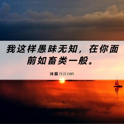 Picture 06 - 诗 篇 73:22 CUVS - 我 这 样 愚 昧 无 知 ， 在 你 面 前 - Bible Verse Picture