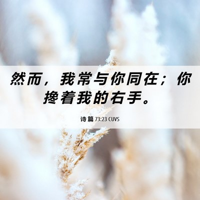 Picture 06 - 诗 篇 73:23 CUVS - 然 而 ， 我 常 与 你 同 在 ； 你 搀 - Bible Verse Picture
